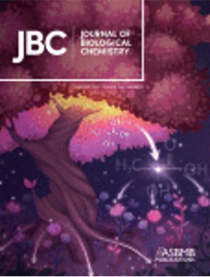 JBC